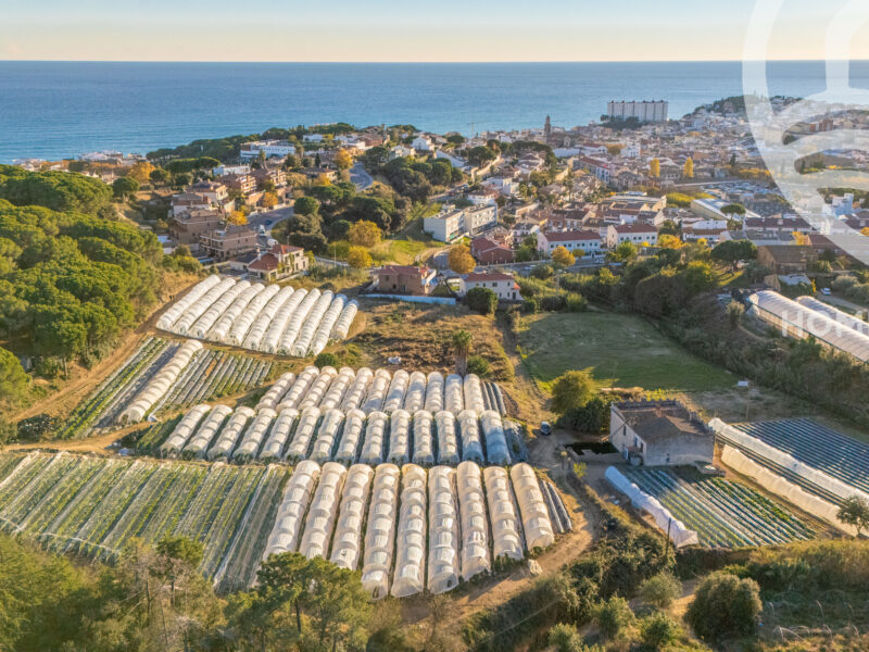 COLECCIÓN PRIVADA · CANET DE MAR - Masía en finca de 2,3 hectáreas