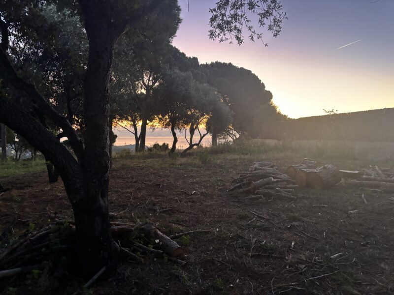 COLECCIÓN PRIVADA · LLAVANERES- ¡La última gran parcela plana con vistas al mar!