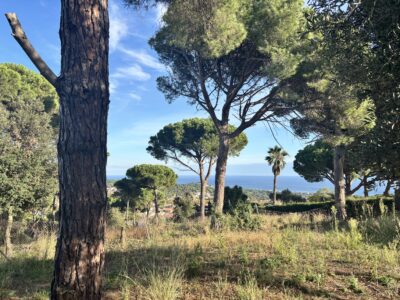 COLECCIÓN PRIVADA · LLAVANERES- ¡La última gran parcela plana con vistas al mar!