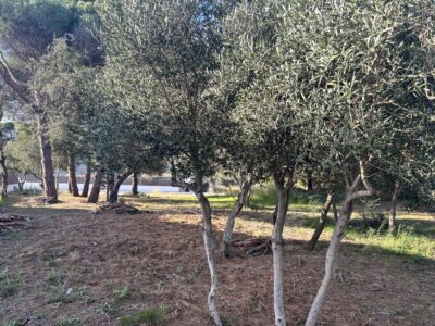 COLECCIÓN PRIVADA · LLAVANERES- ¡La última gran parcela plana con vistas al mar!