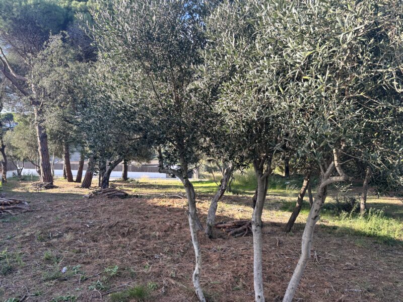 COLECCIÓN PRIVADA · LLAVANERES- ¡La última gran parcela plana con vistas al mar!